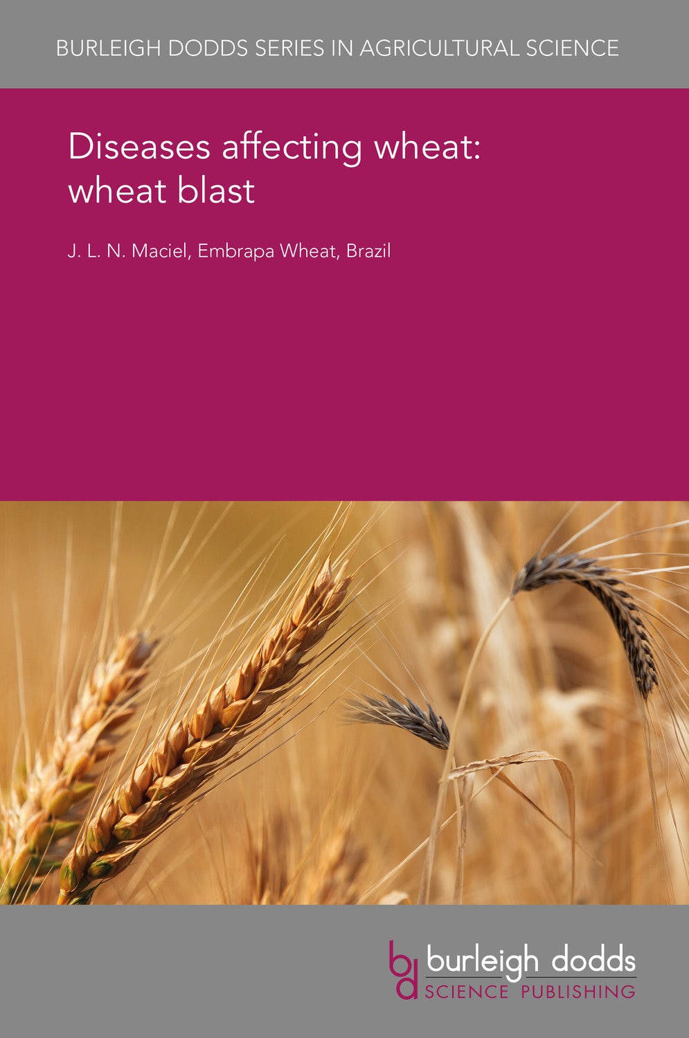 Book cover image for Diseases affecting wheat: wheat blast ISBN: 9781838797409